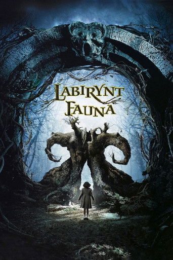 Okładka filmu Labirynt fauna