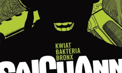 Zdjęcie okładkowe wpisu: Kwiat, Bakteria, Bronx – recenzja komiksu