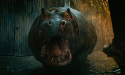 Zdjęcie okładkowe wpisu: Krwiożerczy hipopotam rusza na łowy! Hungry zapowiada najbardziej absurdalny (i brutalny) thriller roku