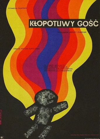Okładka filmu Kłopotliwy gość