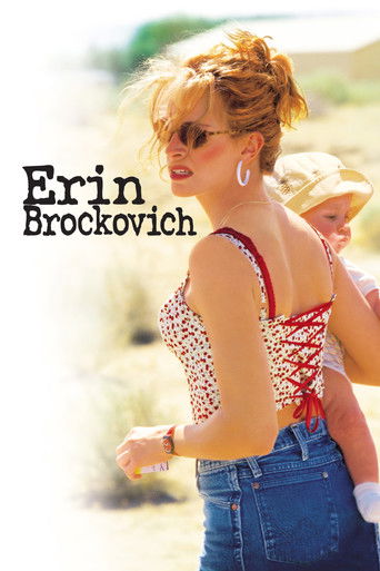 Okładka filmu Erin Brockovich
