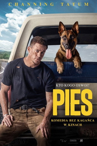 Okładka filmu Pies