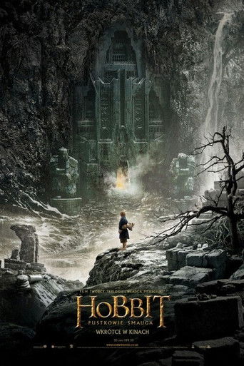 Okładka filmu Hobbit: Pustkowie Smauga