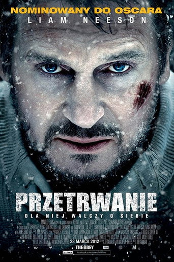 Okładka filmu Przetrwanie
