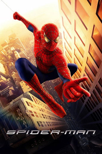 Okładka filmu Spider-Man