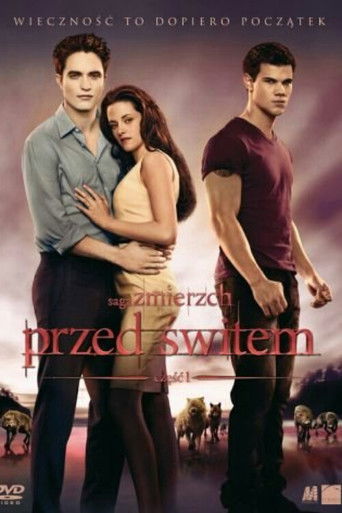 Okładka filmu Saga 