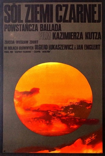 Okładka filmu Sól ziemi czarnej