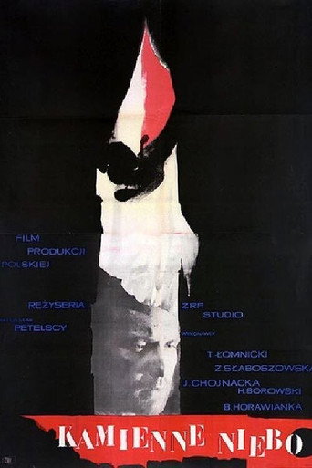 Okładka filmu Kamienne niebo