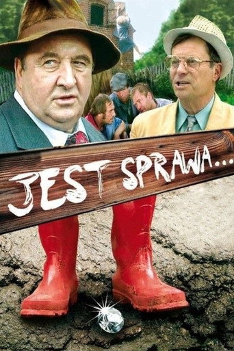 Okładka filmu Jest sprawa…