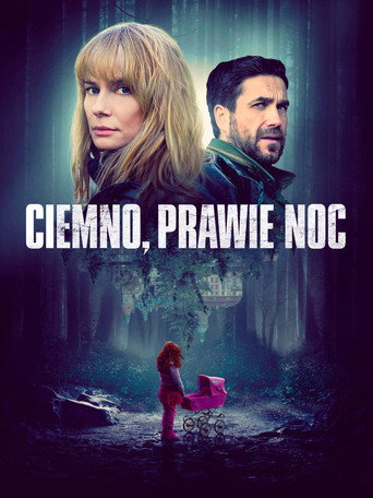 Okładka filmu Ciemno, prawie noc