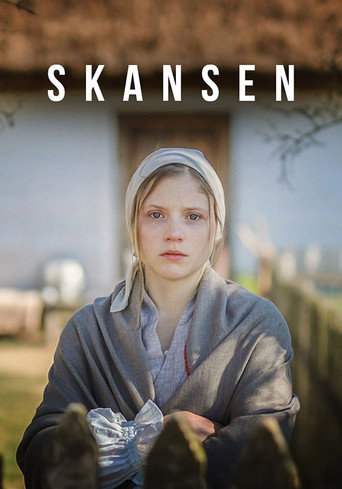 Okładka filmu Skansen