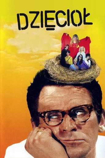 Okładka filmu Dzięcioł
