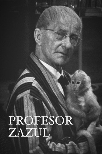 Okładka filmu Profesor Zazul