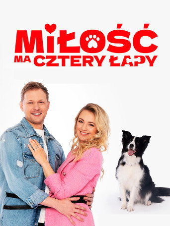Okładka filmu Miłość ma cztery łapy