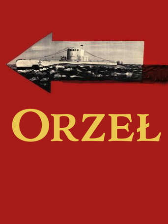 Orzeł