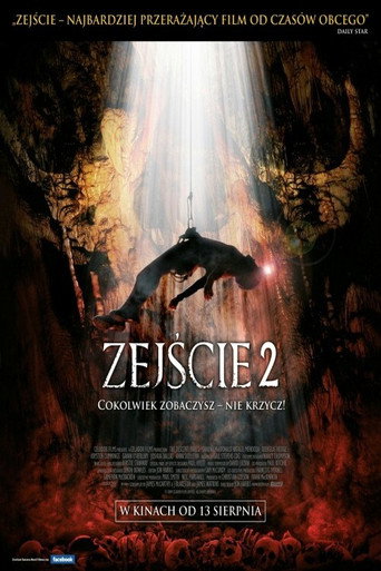 Okładka filmu Zejście 2
