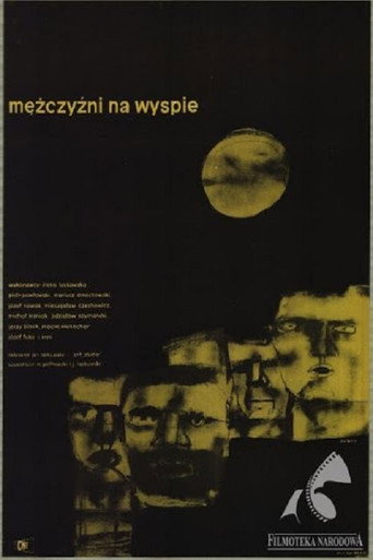 Okładka filmu Mężczyźni na wyspie