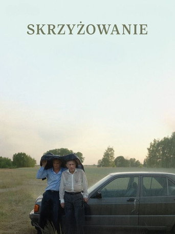 Okładka filmu Skrzyżowanie