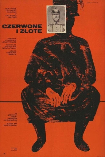 Okładka filmu Czerwone i złote