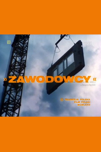 Okładka filmu Zawodowcy