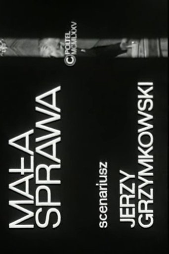 Okładka filmu Mała sprawa