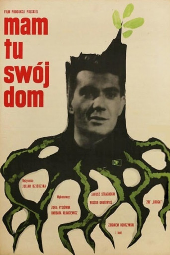 Okładka filmu Mam tu swój dom