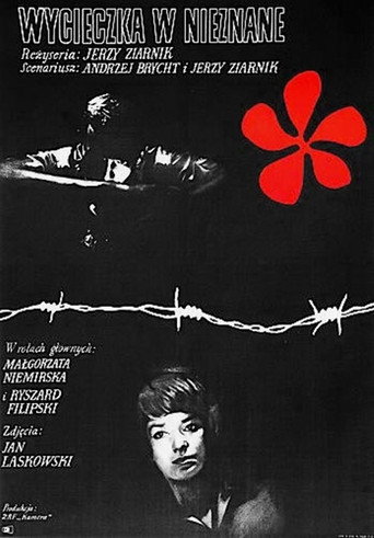 Okładka filmu Wycieczka w nieznane