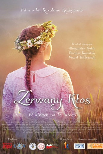 Okładka filmu Zerwany kłos