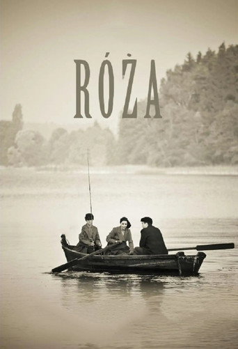 Okładka filmu Róża