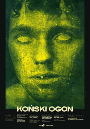 Okładka filmu Koński ogon