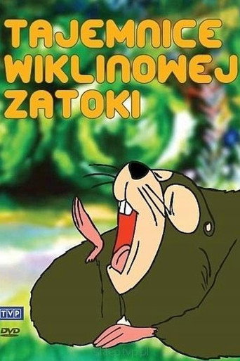 Okładka filmu Tajemnice Wiklinowej Zatoki
