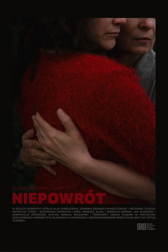 Okładka filmu Niepowrót