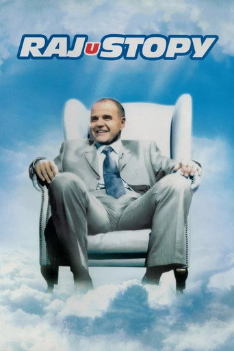 Okładka filmu Rajustopy
