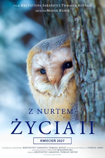 Okładka filmu Z nurtem życia II