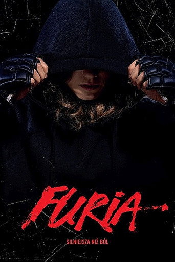 Okładka filmu Furia