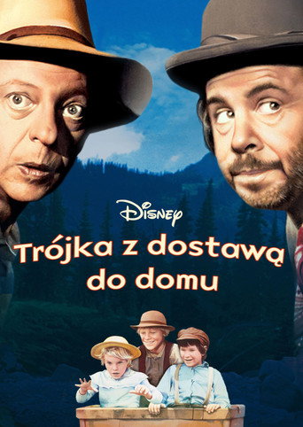 Okładka filmu Trójka z dostawą do domu