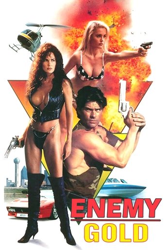 Okładka filmu Enemy Gold