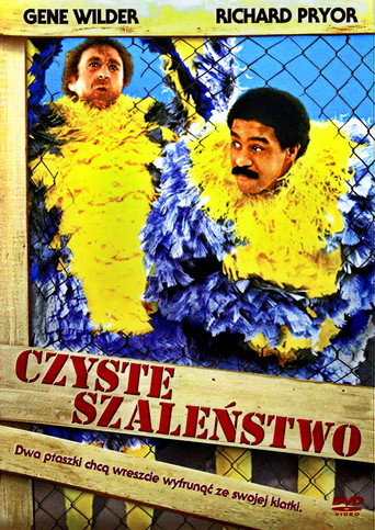 Okładka filmu Czyste szaleństwo