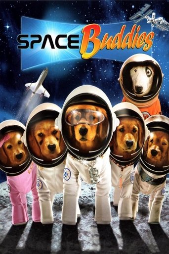 Okładka filmu Gwiezdny zaprzęg