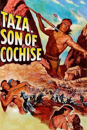 Okładka filmu Taza, Son of Cochise