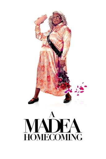 Okładka filmu Zjazd rodzinny u Madei