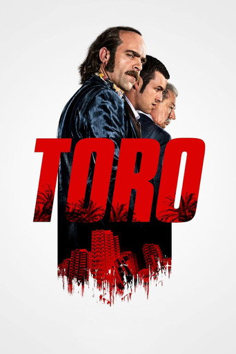 Okładka filmu Toro