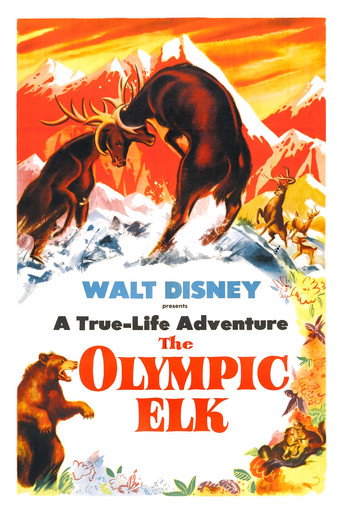 Okładka filmu The Olympic Elk