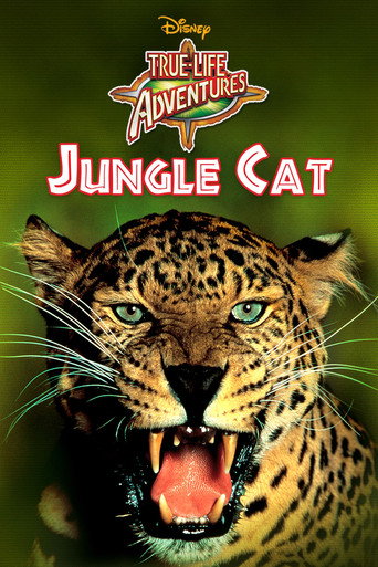 Okładka filmu Jungle Cat