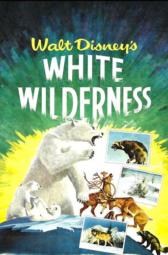 Okładka filmu White Wilderness