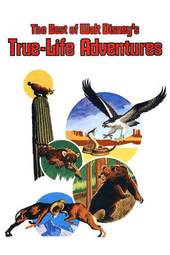 Okładka filmu The Best of Walt Disney’s True-Life Adventures
