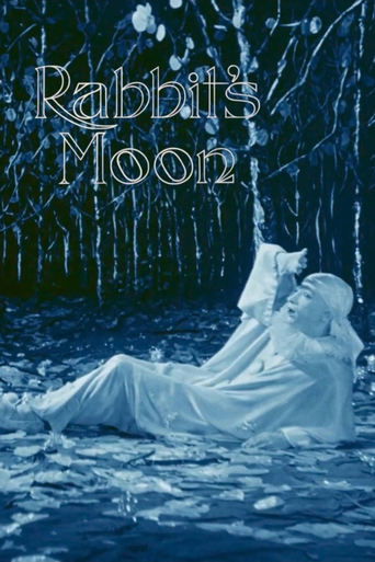 Okładka filmu Rabbit’s Moon