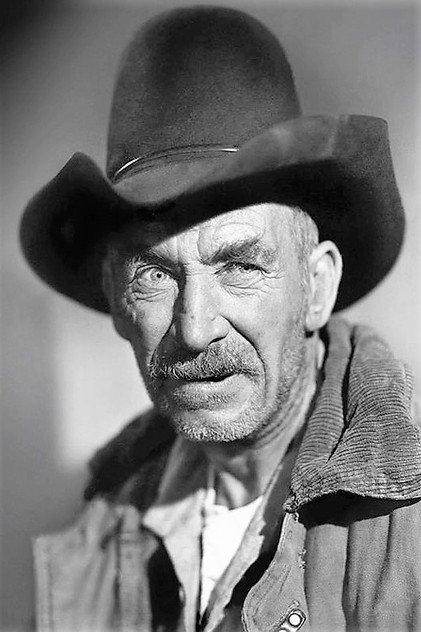 Zdjęcie Andy Clyde