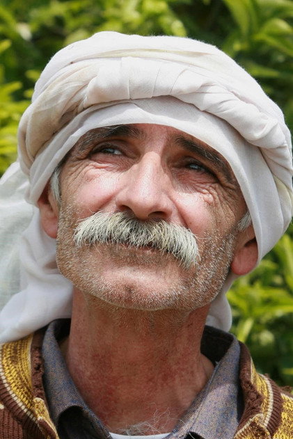Zdjęcie Tarik Kopty