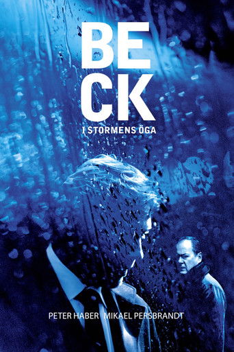 Beck 25 – I stormens öga